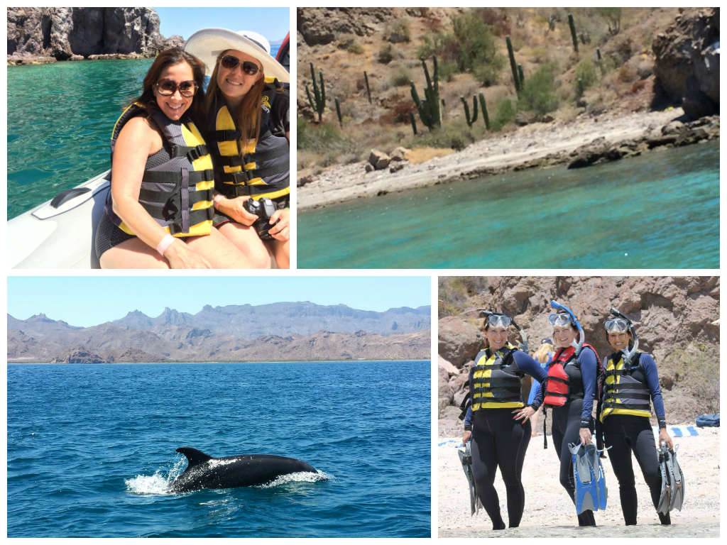 Collage of activities to do near Loreto, Mexico.