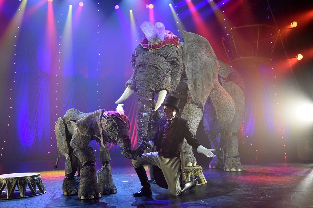 Step Back In Time With Circus 1903 The Golden Age Of Circus Romy Raves