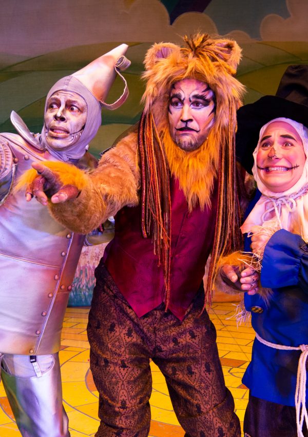 The Wonderful Winter of Oz is a refreshing modern twist on the iconic classic done in the interactive & thoroughly entertaining British Panto Style